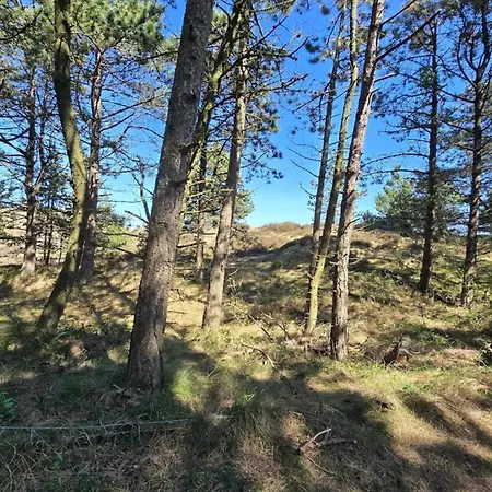 8 Person In Romo Kongsmark